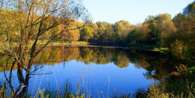 Старый пруд в лесопарке Северного Бутова на улице Академика Глушко почистят и приведут в порядок