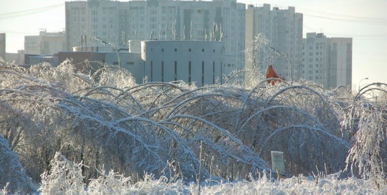 В районе Северное Бутово все жилые дома к зиме готовы