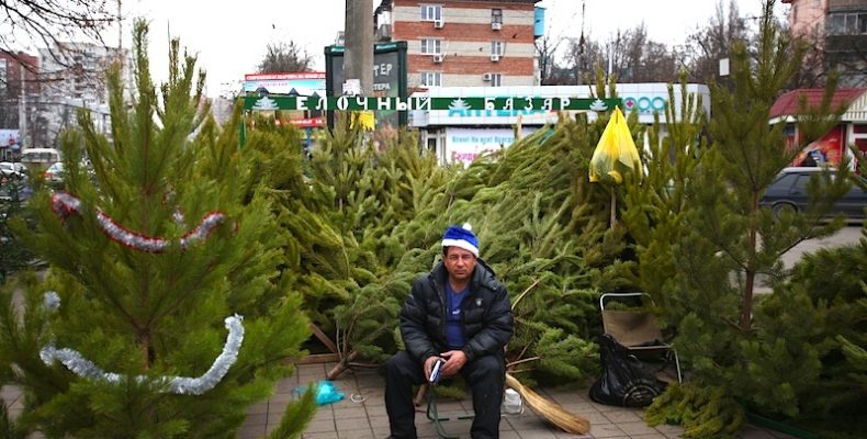 Три ёлочных базара откроют в районе Северное Бутово
