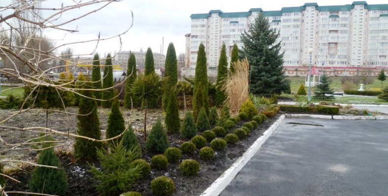 Власти узнали, на что в первую очередь жалуются граждане ЮЗАО