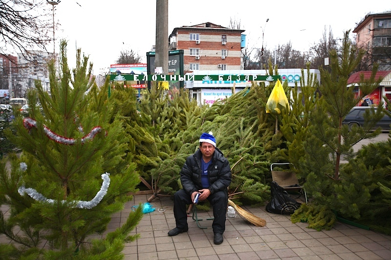 Три ёлочных базара откроют в районе Северное Бутово
