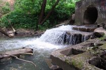 Воду реки Котловки нельзя использовать для хозяйственных нужд