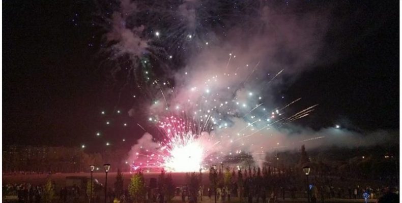 Салют ко Дню города в Южном Бутово взорвался под ногами зрителей