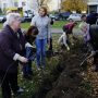 Пустыри на бульваре Дмитрия Донского украсила аллея из рябин и кленов