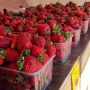 В Северном Бутово открылась точка продажи клубники