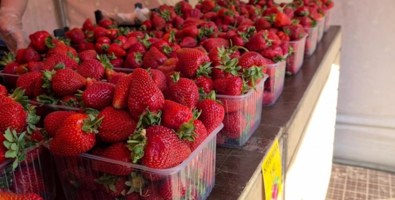 В Северном Бутово открылась точка продажи клубники