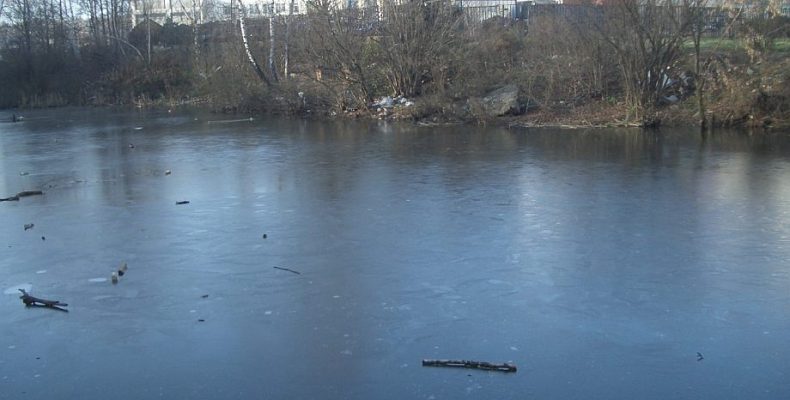 Хоккеисты Центра «Спорт-Бутово» стали участниками спартакиады «Московский двор – спортивный двор»