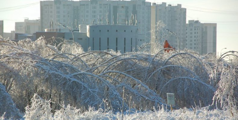 В районе Северное Бутово все жилые дома к зиме готовы