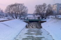 Бутовчан тревожат пиротехника, работа общественного транспорта и шум по ночам