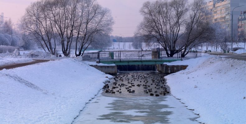 Бутовчан тревожат пиротехника, работа общественного транспорта и шум по ночам