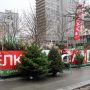 В Северном Бутово открылись елочные базары