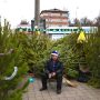 Три ёлочных базара откроют в районе Северное Бутово