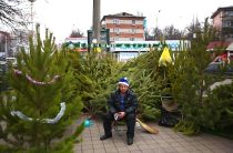 Три ёлочных базара откроют в районе Северное Бутово