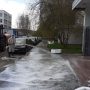 Сплошная обработка специализированными средствами состоялась на территории района Северное Бутово