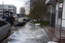 Сплошная обработка специализированными средствами состоялась на территории района Северное Бутово