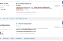 На подготовку к выборам мэра 9 сентября в Северном Бутово ушло 2.5 млн.рублей
